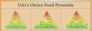 Udo Erasmus Food Pyramids
